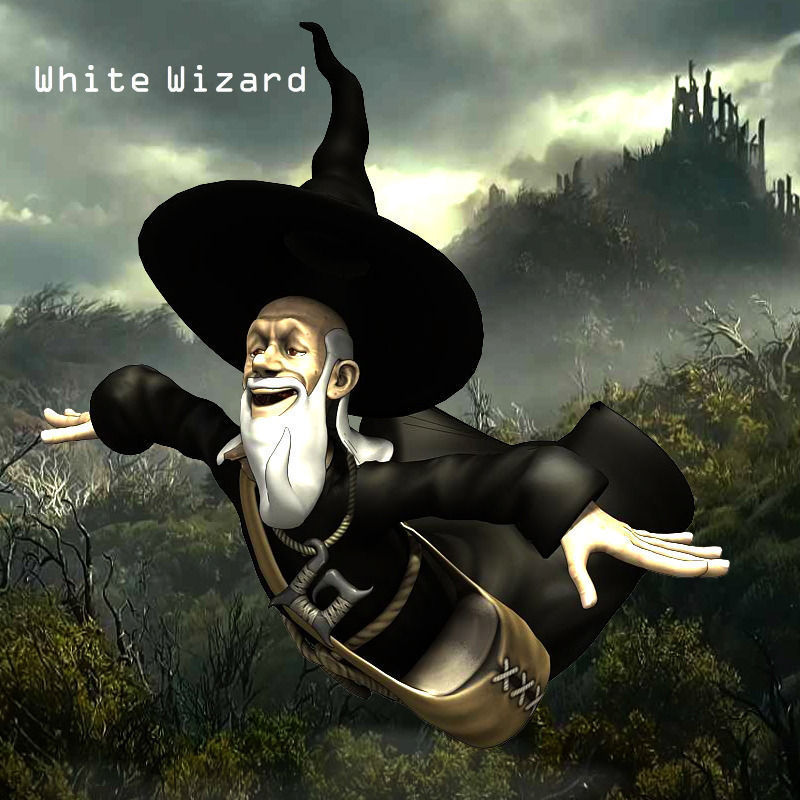 White Wizard Low-poly 3D model_6