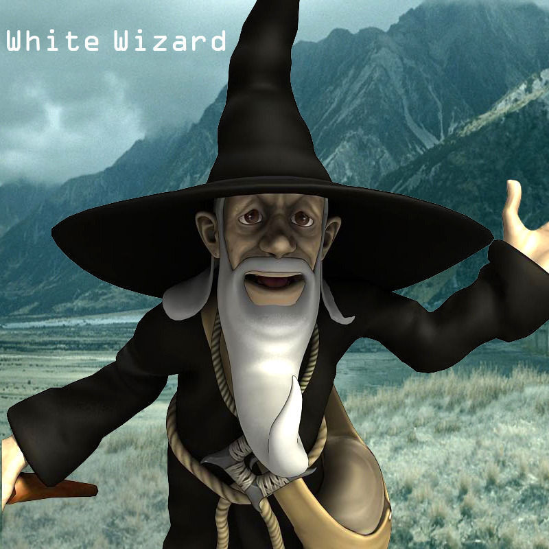 White Wizard Low-poly 3D model_1