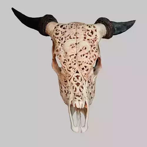 Dragon decorated Skull