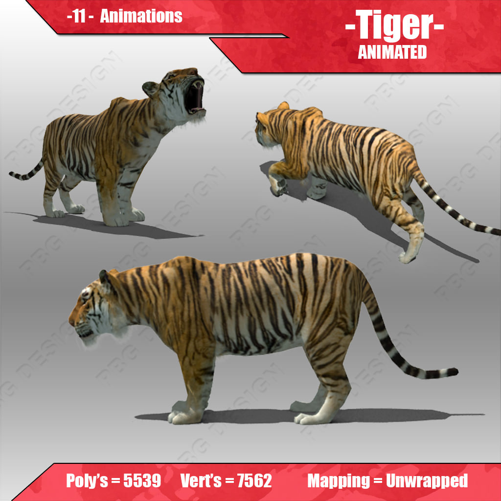 Tiger Animated Low-poly 3D model_1