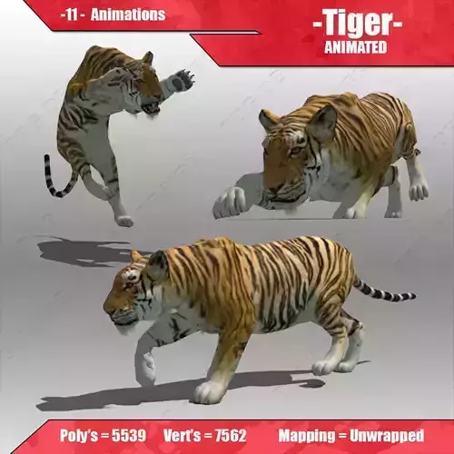 Tiger Animated Low-poly 3D model