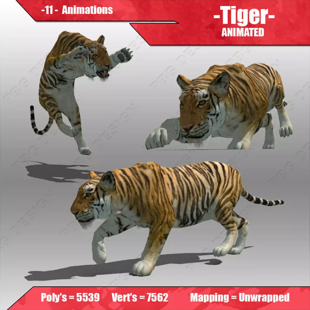 Tiger Animated Low-poly 3D model_0