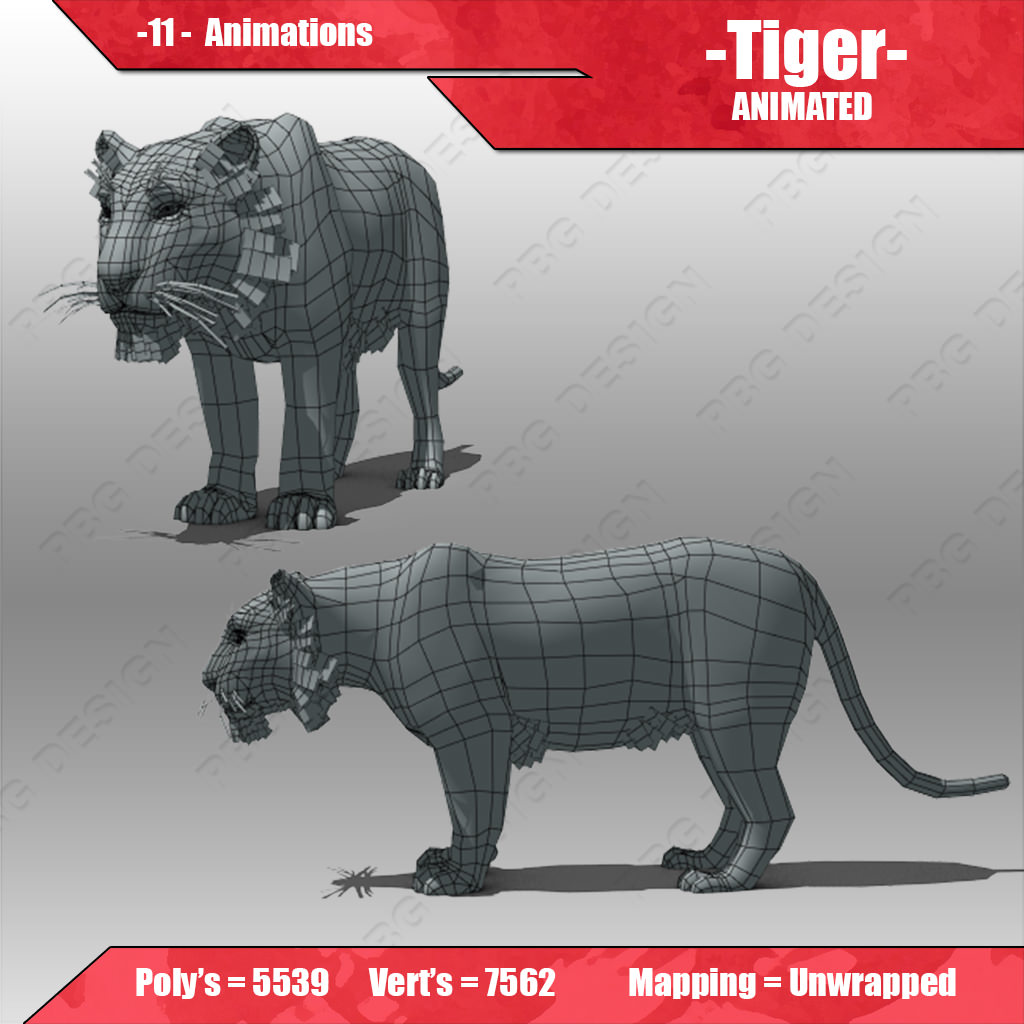 Tiger Animated Low-poly 3D model_3