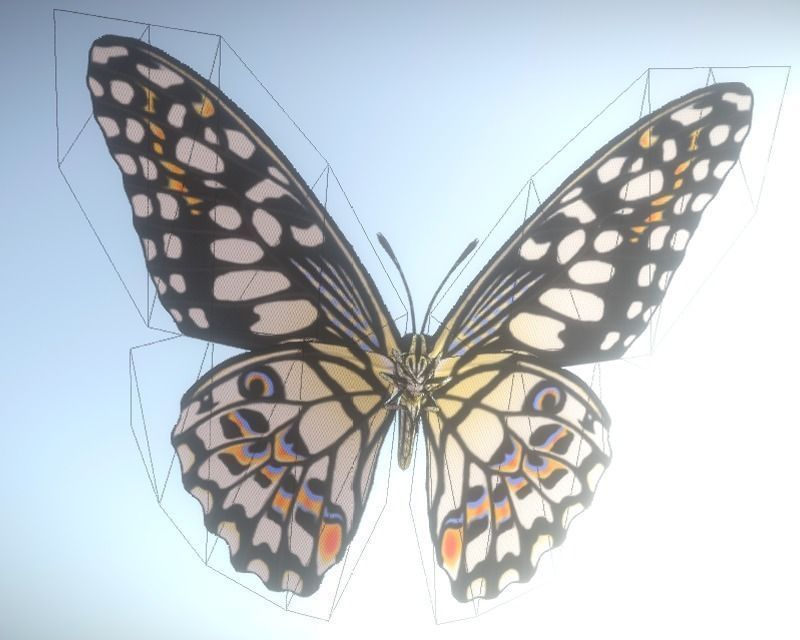Animated Butterfly Low-poly 3D model_5