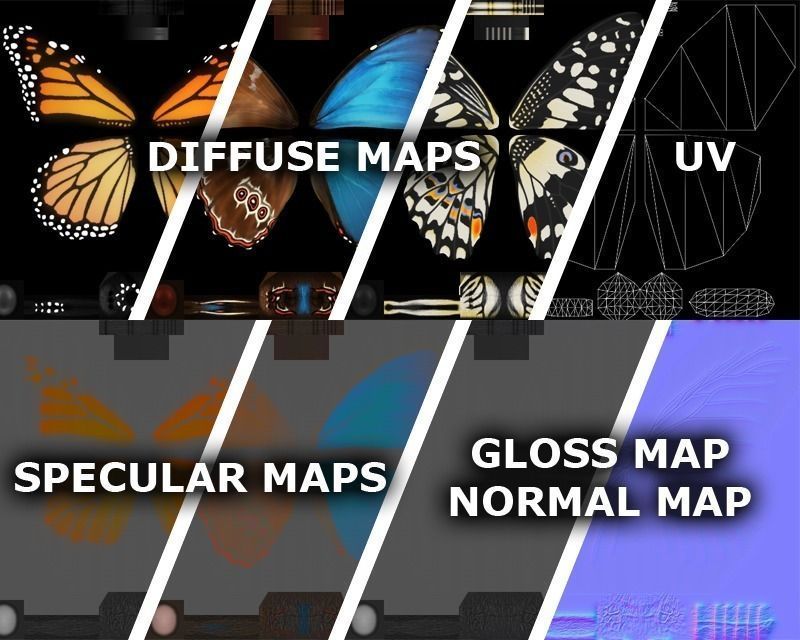 Animated Butterfly Low-poly 3D model_6