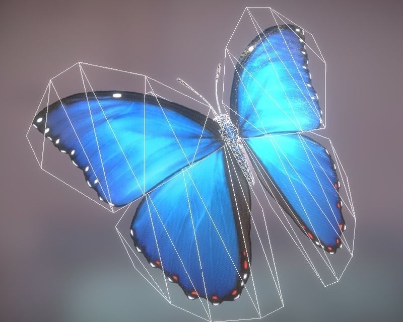 Animated Butterfly Low-poly 3D model_3