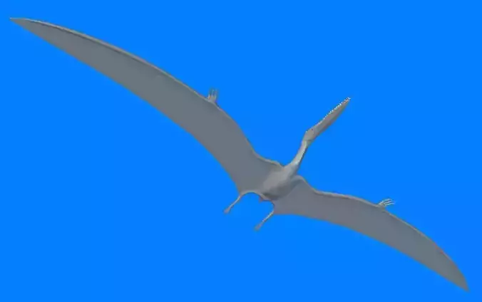 Gnathosaurus dinosaur flying 3D model
