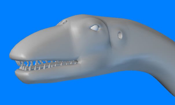Apatosaurus- Type-1 3D model_5