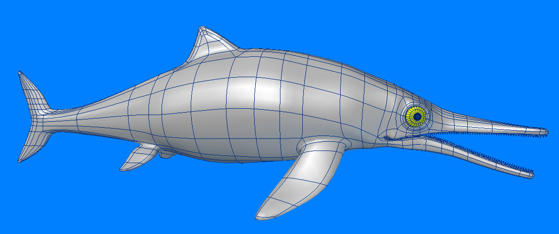 Ichthyosaurus dolphin 3D model_4