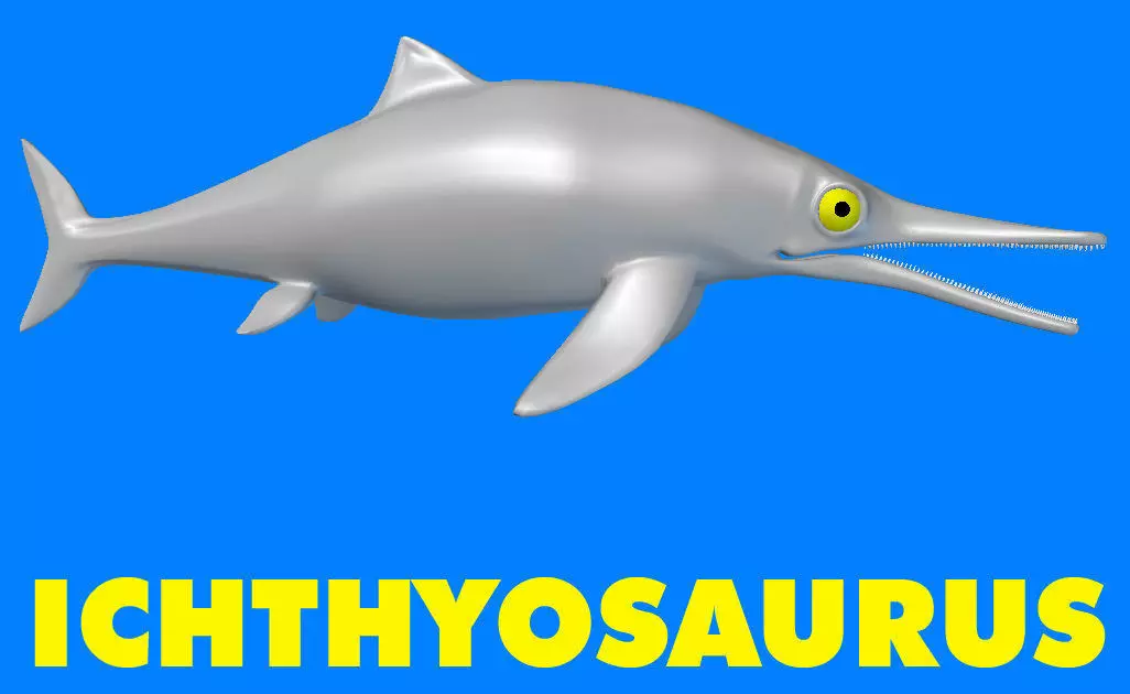Ichthyosaurus dolphin 3D model_0