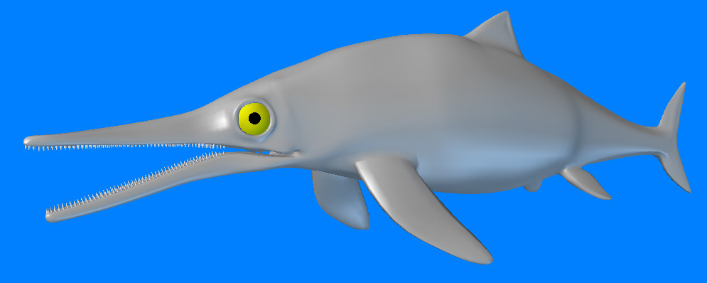 Ichthyosaurus dolphin 3D model_3