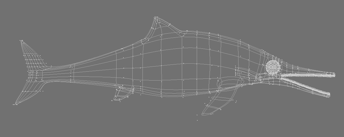 Ichthyosaurus dolphin 3D model_6