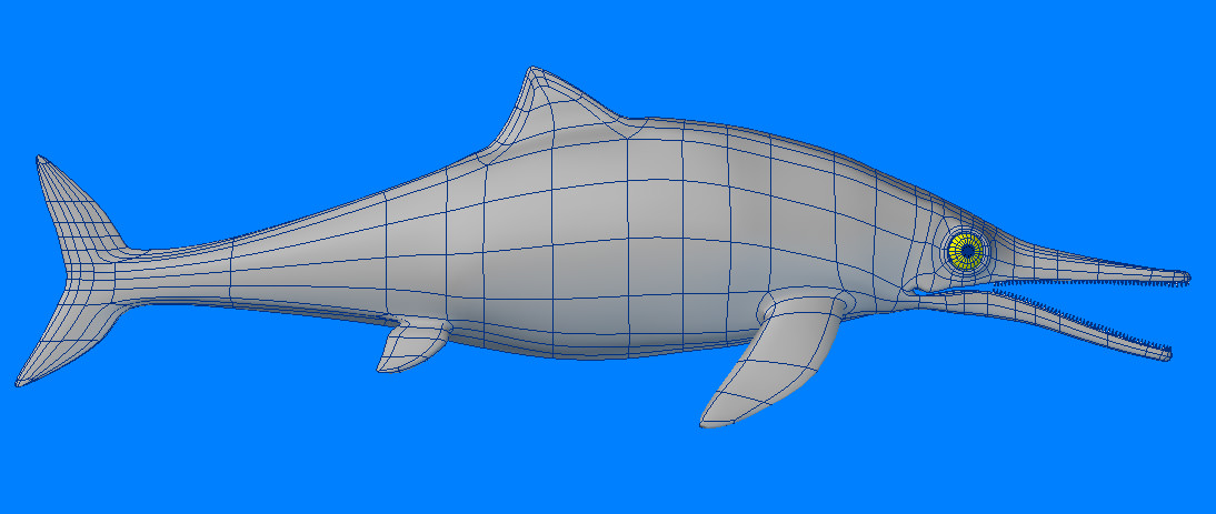 Ichthyosaurus dolphin 3D model_5