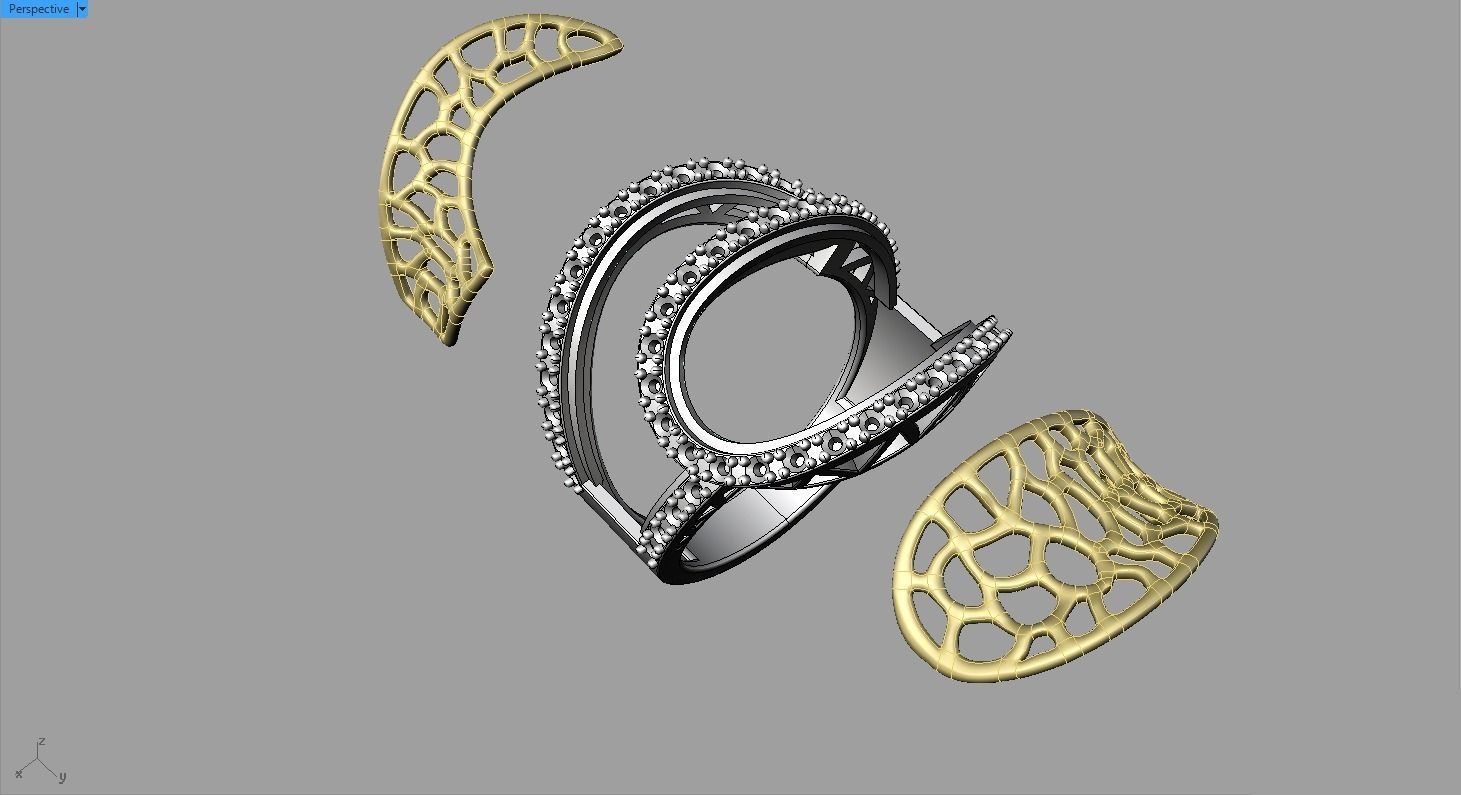 Ring for Woman or Girl 3D print model_19