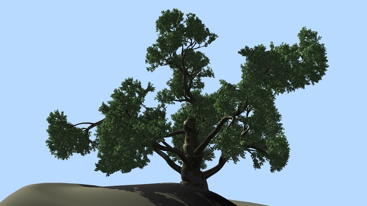 MAGNIFICENT TREE - GROWING - V1 3D model_10
