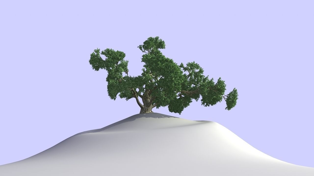 MAGNIFICENT TREE - GROWING - V1 3D model_14