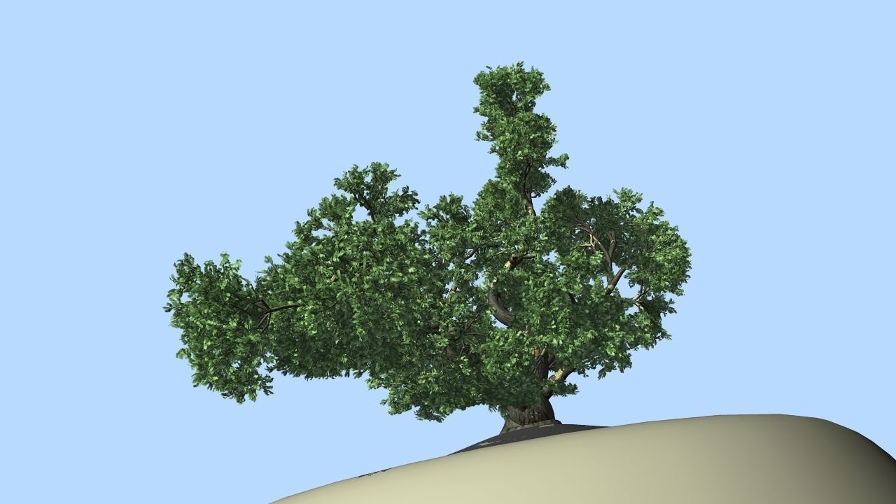 MAGNIFICENT TREE - GROWING - V1 3D model_11