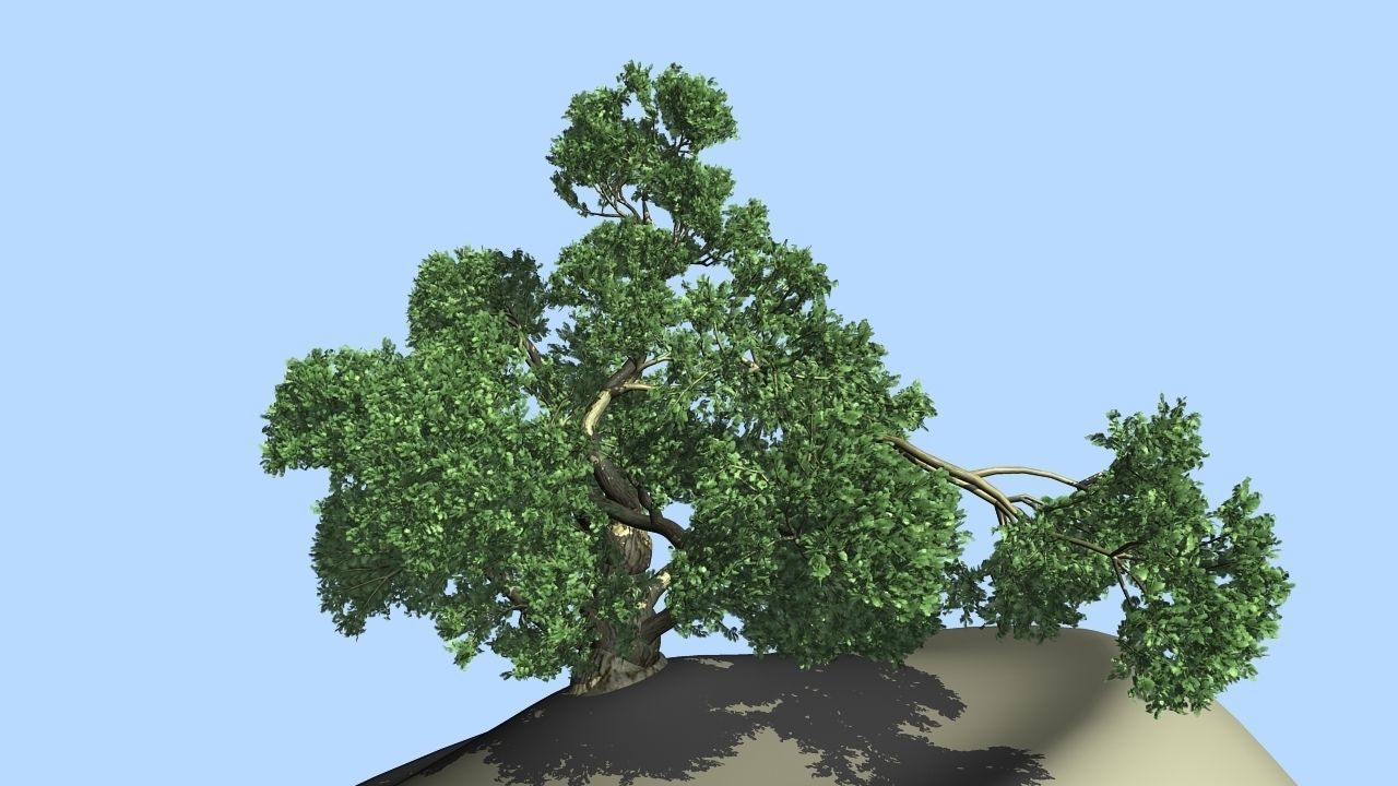 MAGNIFICENT TREE - GROWING - V1 3D model_8