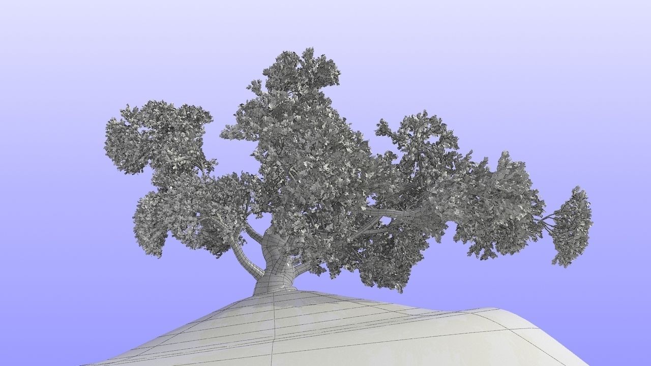MAGNIFICENT TREE - GROWING - V1 3D model_16