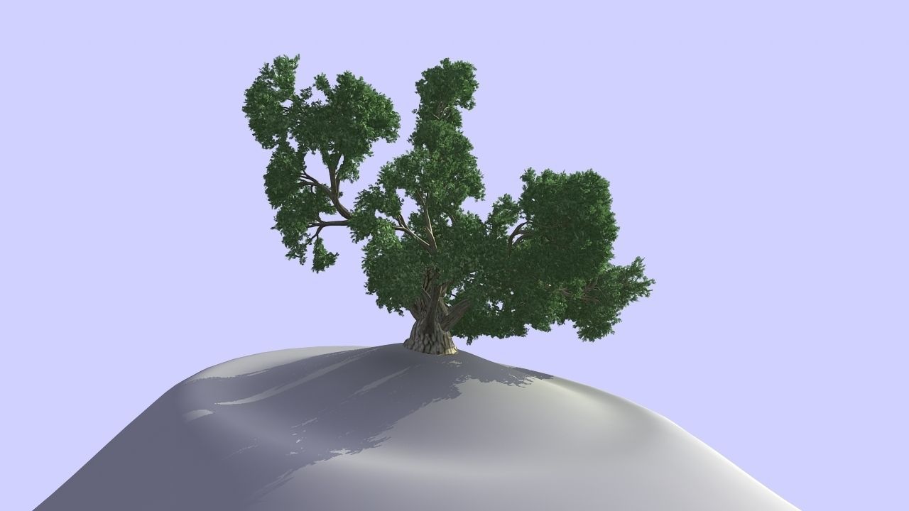 MAGNIFICENT TREE - GROWING - V1 3D model_3