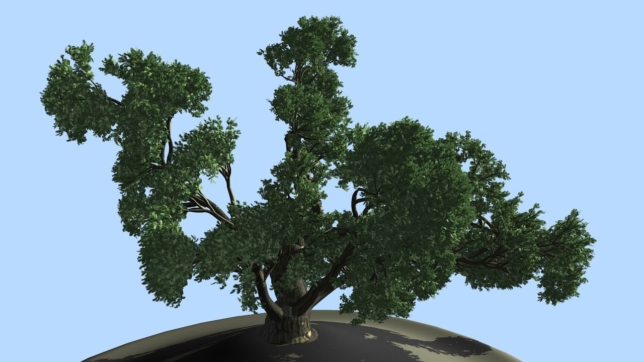 MAGNIFICENT TREE - GROWING - V1 3D model_9