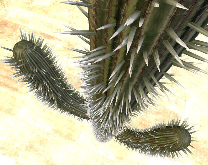 Cactus with Particle System Free 3D model_4