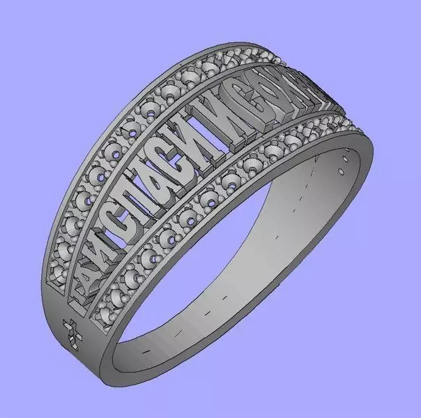 Ring religion save and protect 3D print model_0