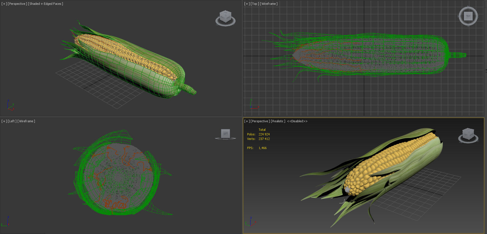 Realistic Corn ear of 3D model_9