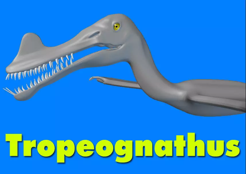 Tropeognathus 3D model