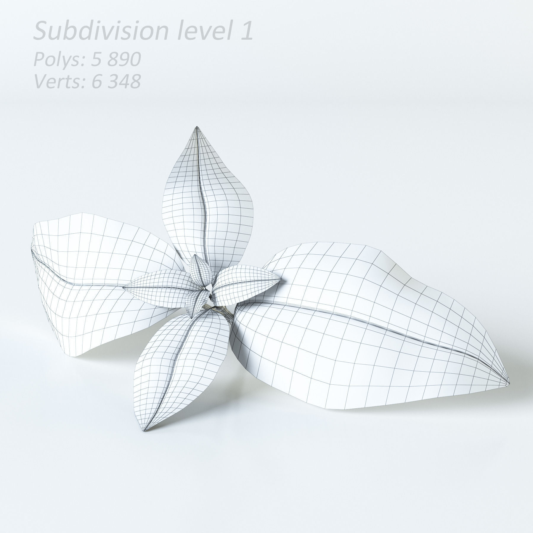 Vegetables Collection basil leaf 3D model_3