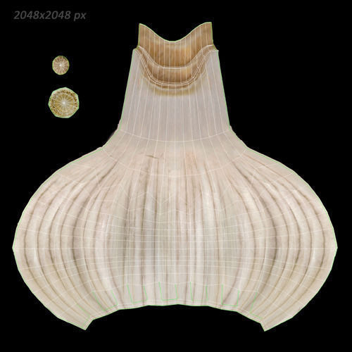 Vegetables Collection basil leaf 3D model_58