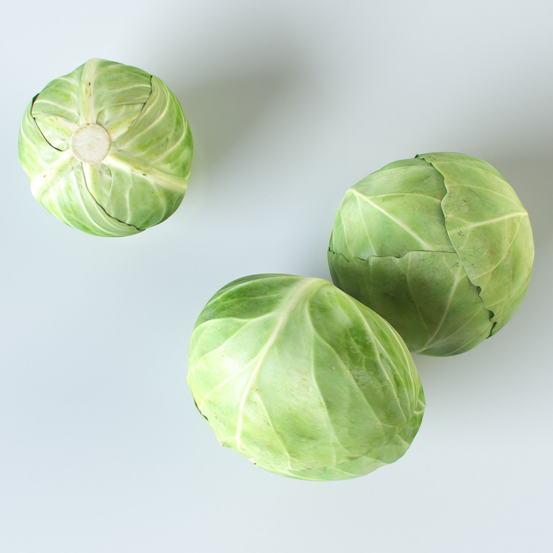 Vegetables Collection basil leaf 3D model_15