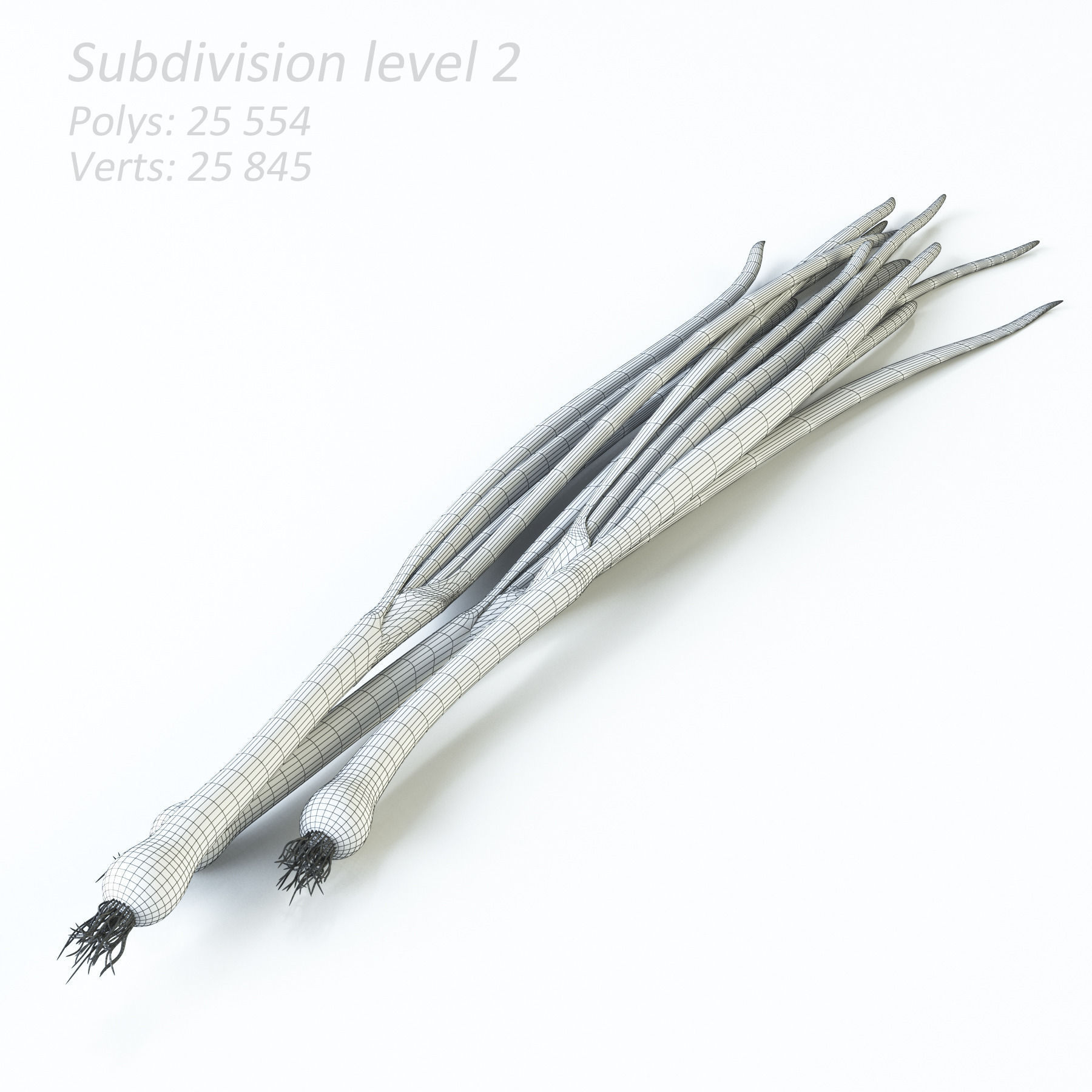 Vegetables Collection basil leaf 3D model_72