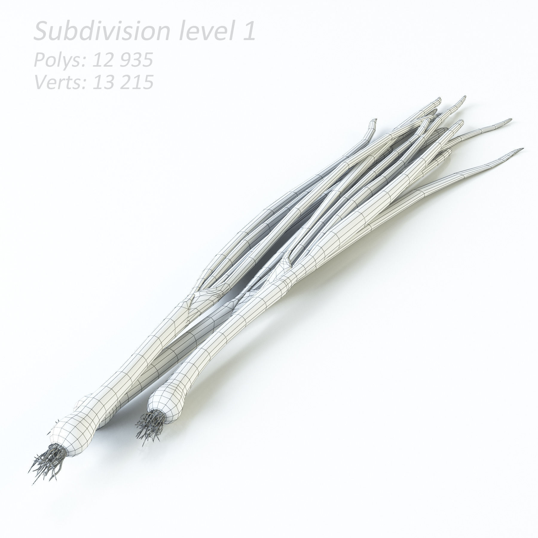 Vegetables Collection basil leaf 3D model_71