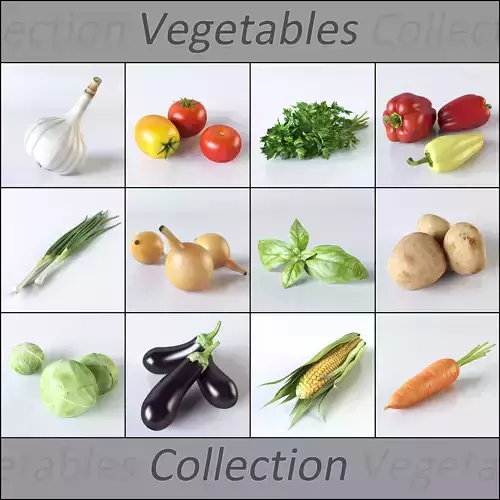 Vegetables Collection basil leaf 3D model
