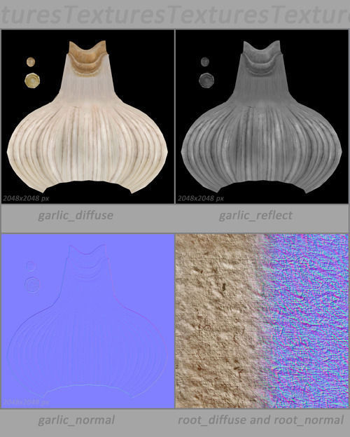 Vegetables Collection basil leaf 3D model_59