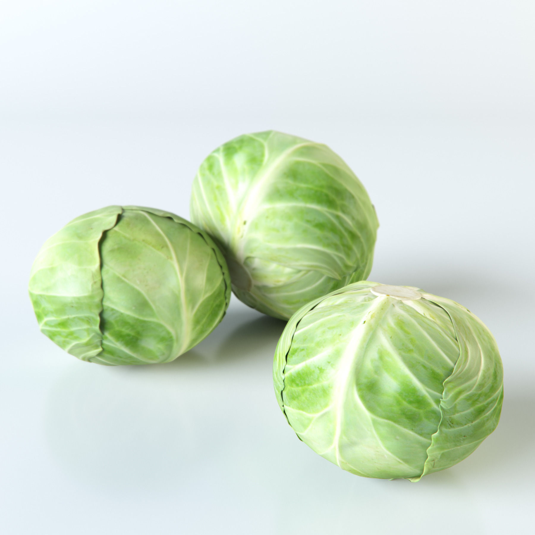 Vegetables Collection basil leaf 3D model_14