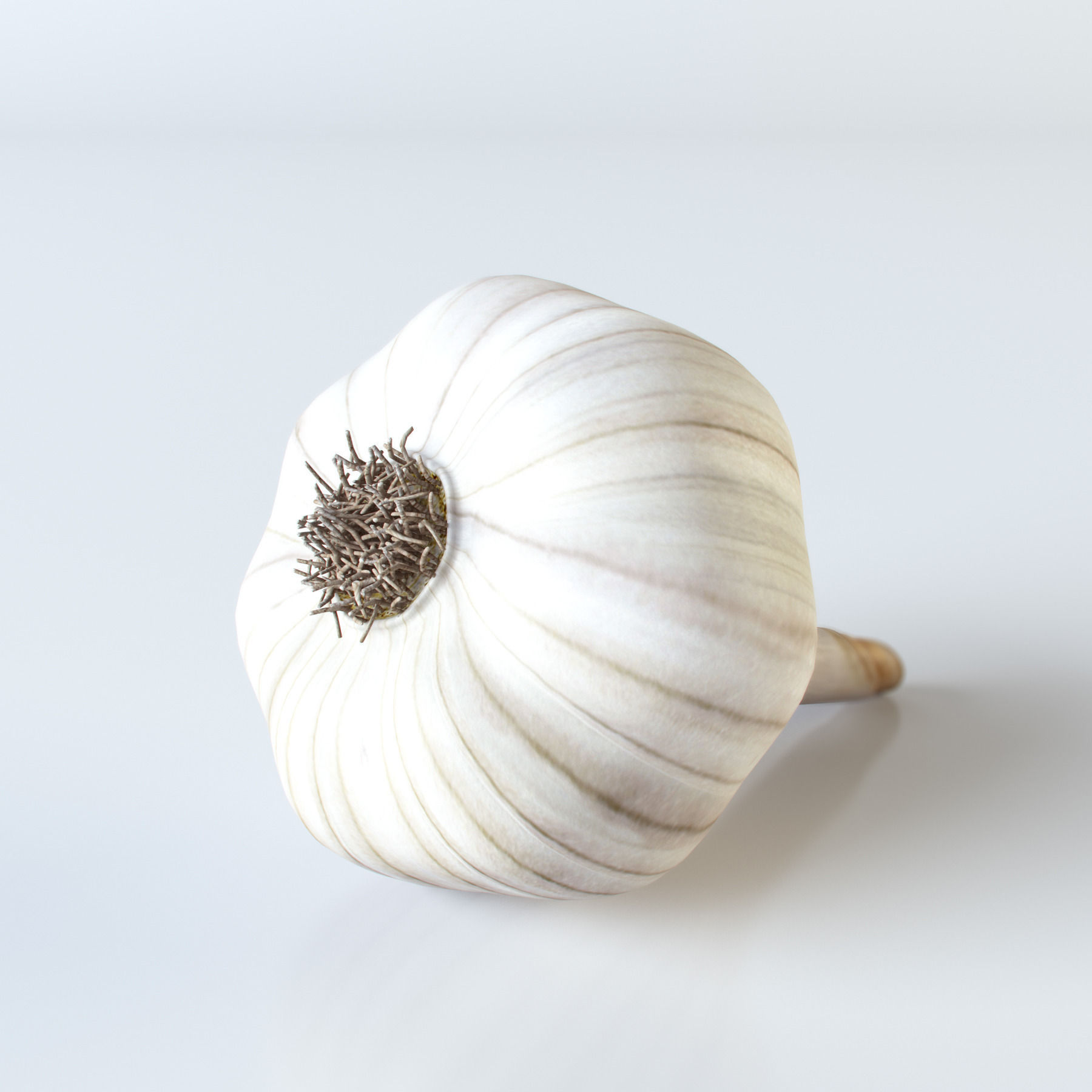 Vegetables Collection basil leaf 3D model_52