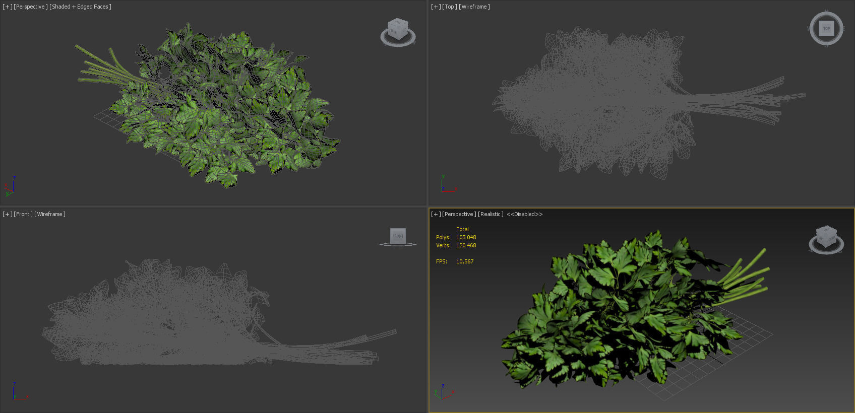 Vegetables Collection basil leaf 3D model_85