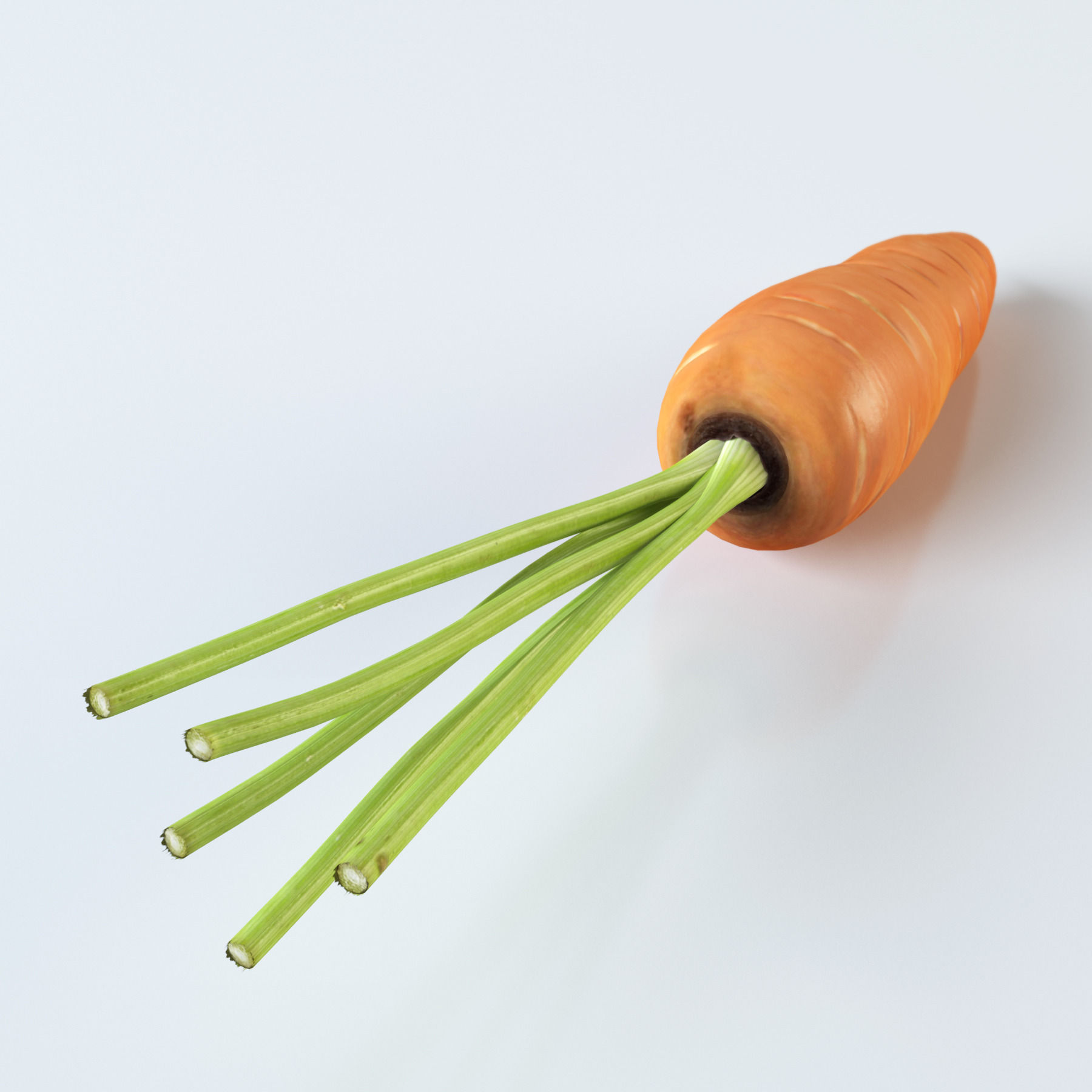 Vegetables Collection basil leaf 3D model_23