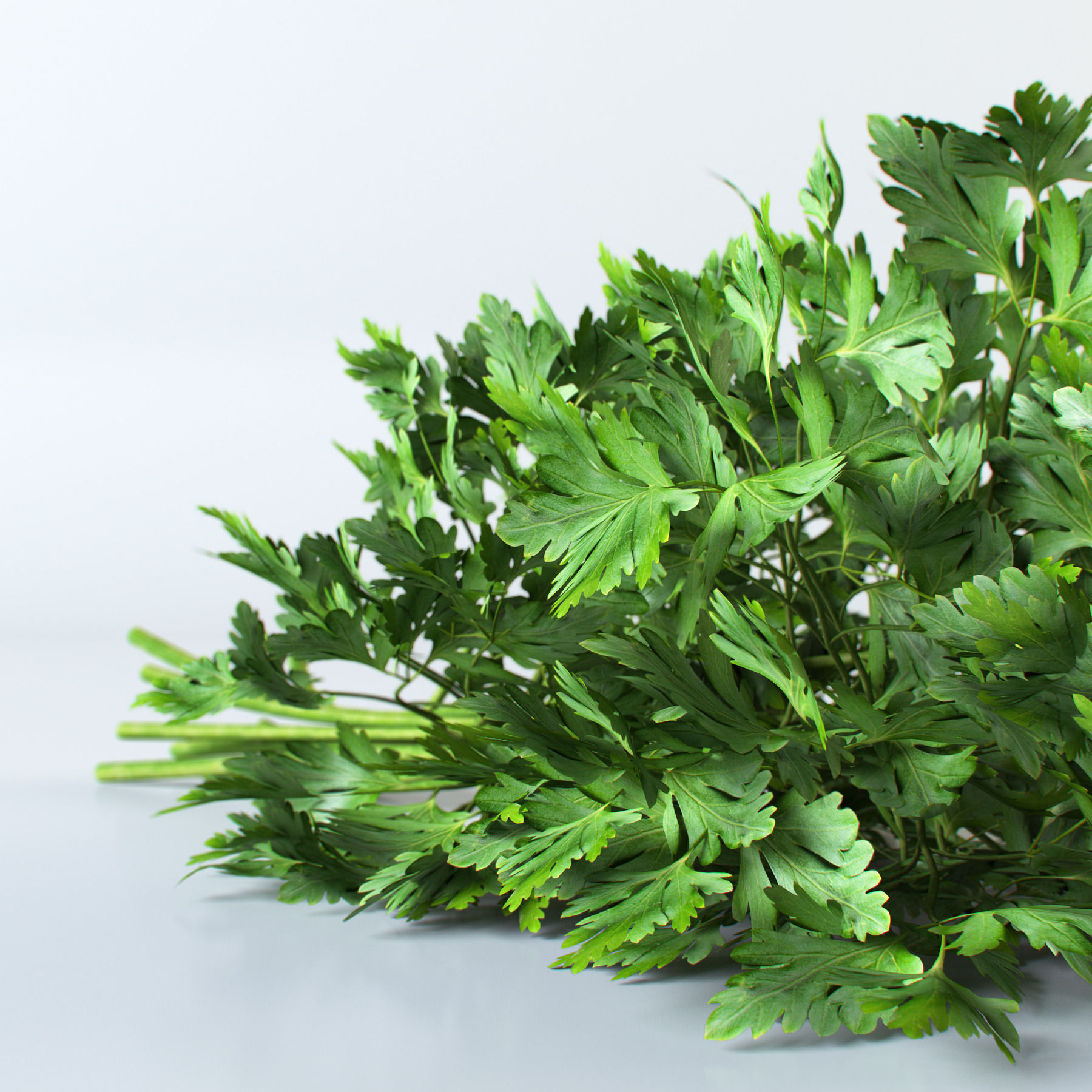 Vegetables Collection basil leaf 3D model_84