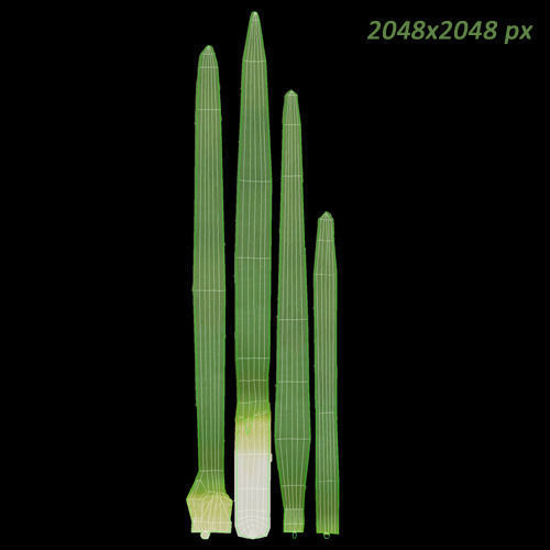 Vegetables Collection basil leaf 3D model_76