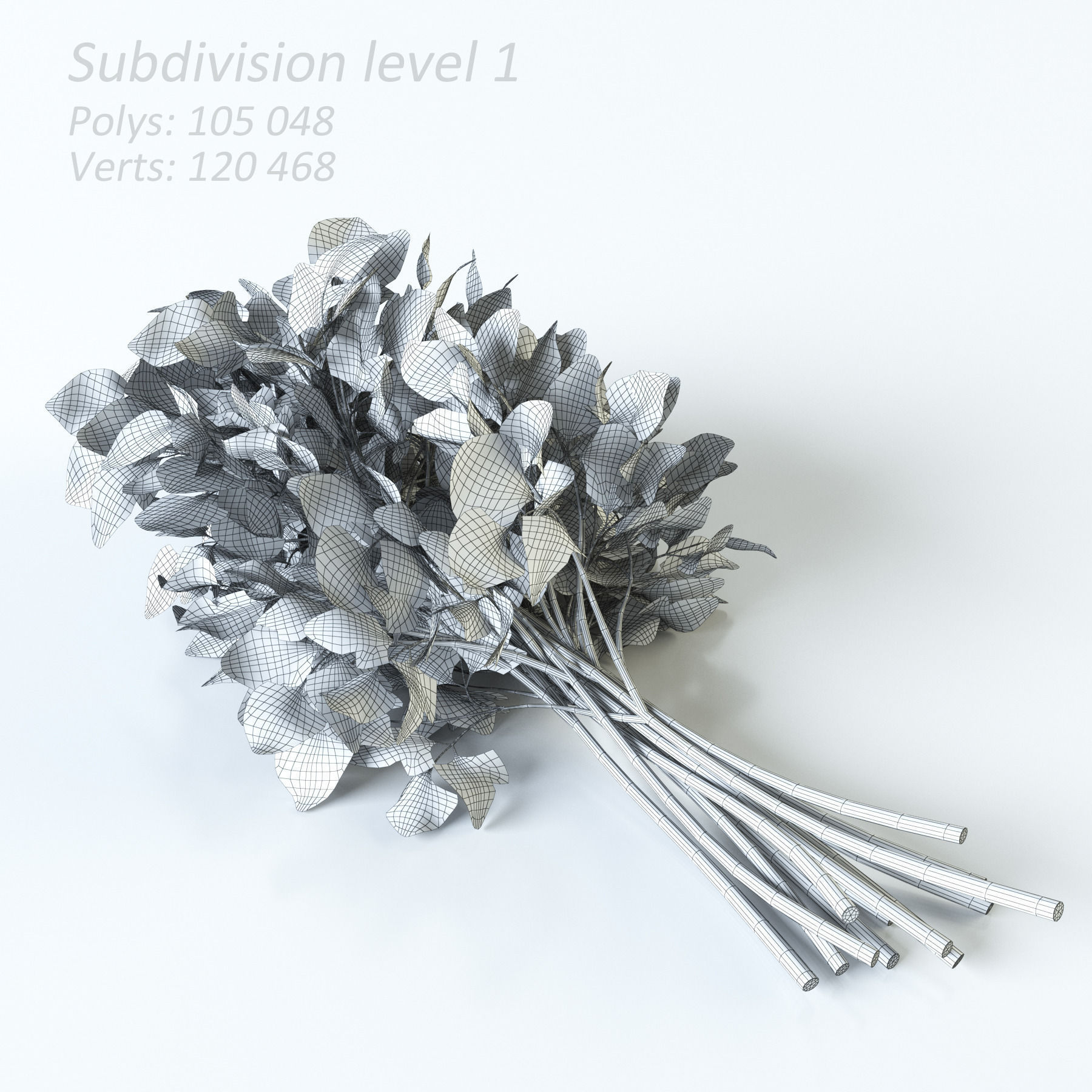 Vegetables Collection basil leaf 3D model_83