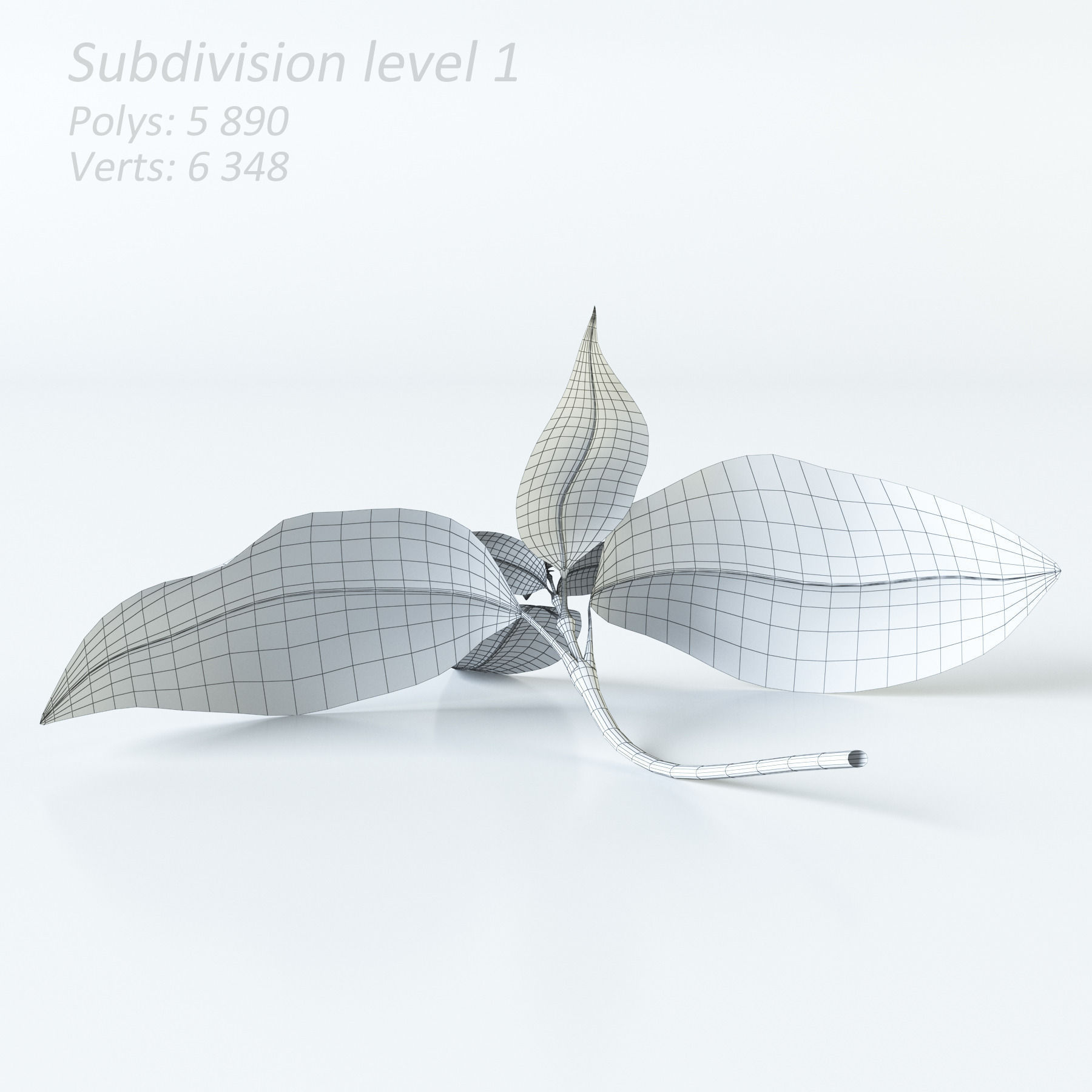 Vegetables Collection basil leaf 3D model_5