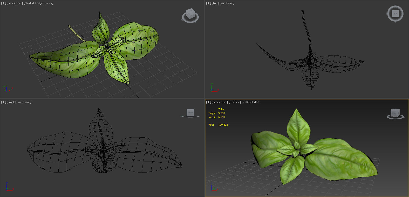 Vegetables Collection basil leaf 3D model_7