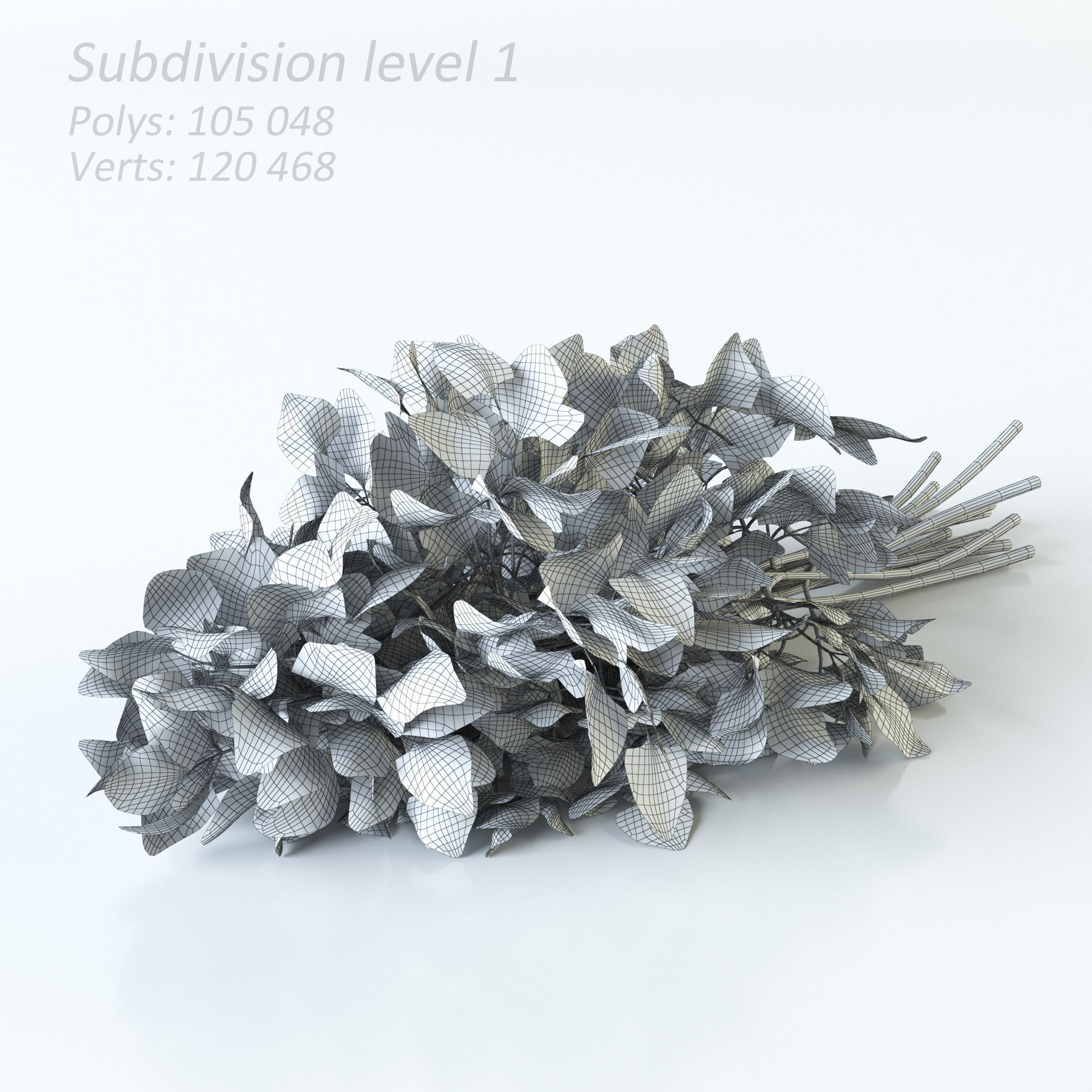 Vegetables Collection basil leaf 3D model_80