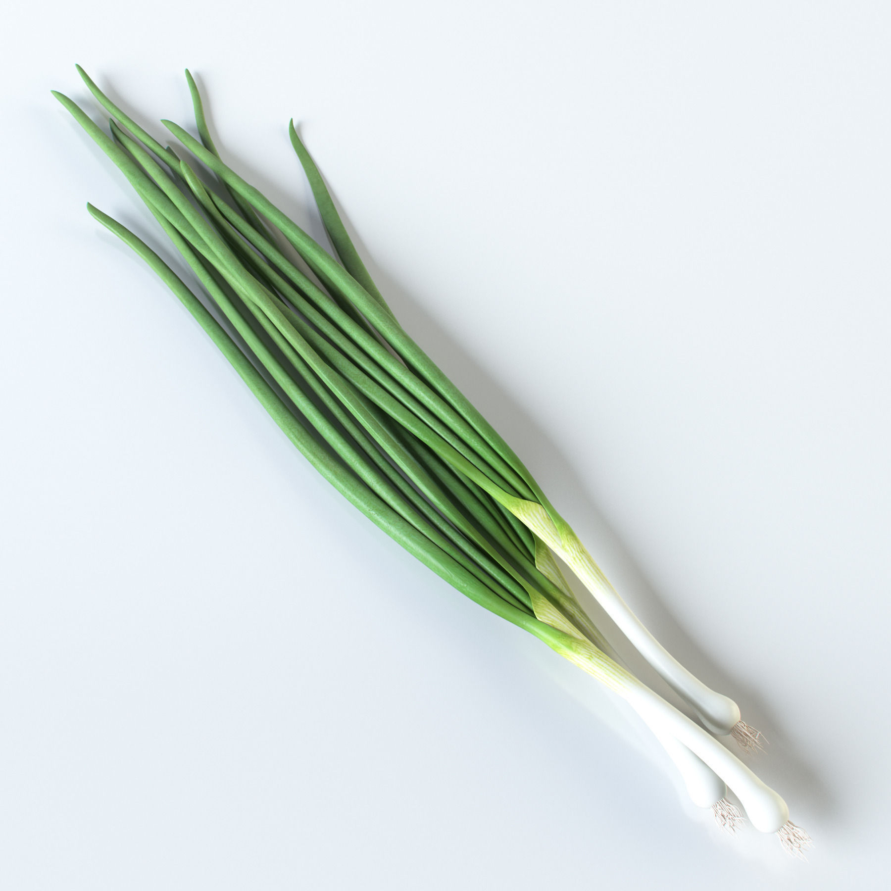 Vegetables Collection basil leaf 3D model_74