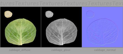 Vegetables Collection basil leaf 3D model_19