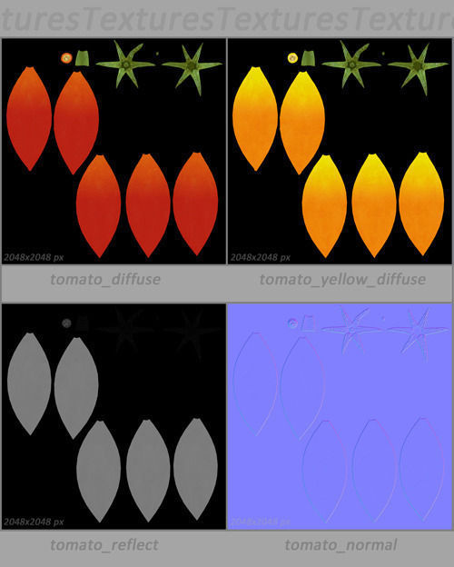 Vegetables Collection basil leaf 3D model_119