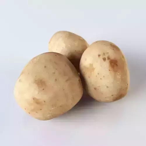 Potatoes three 3D model